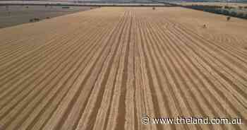 Greenleigh presents as a highly efficient cropping development property