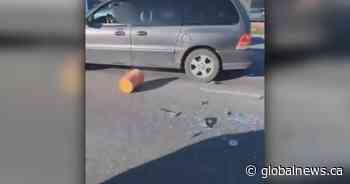 Kelowna man faces multiple fines following series of incidents