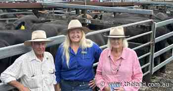 Gloucester yards 700 head at store sale with heifers up to $80 stronger