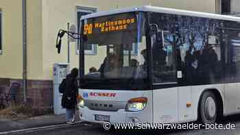 Quetschungen und Ohnmacht: Wie gefährlich der Schulbus für Kinder aus Wildberg ist