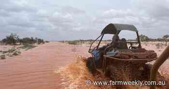 "I'm so flippin' happy": Wet season lives up to name for Pilbara pastoralists