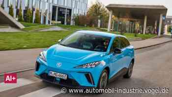 Das waren die beliebtesten chinesischen Autos 2024