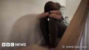 Domestic abuse service to continue - council