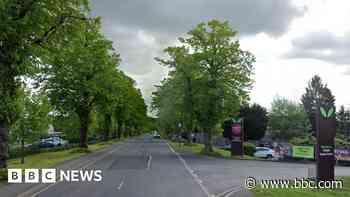 Ribbon protest at garden centre tree-felling plan