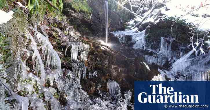 Country diary: Glittering beauty from a simple water pipe | Mark Cocker