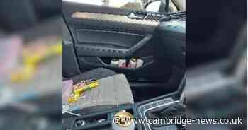 Police catch drink driver with five open cans of Stella Artois