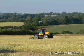 Farmland values expected to hold firm after small rise in 2024