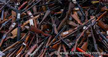 Gun regulations are hard to understand says South West Region MLC Steve Thomas