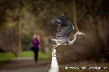 Run For Nature is toe aan zevende editie: “Na historische aankoop hopen we op recordopkomst”