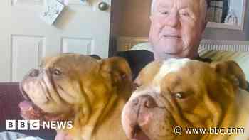 Viral video 'made my day', says dog walker