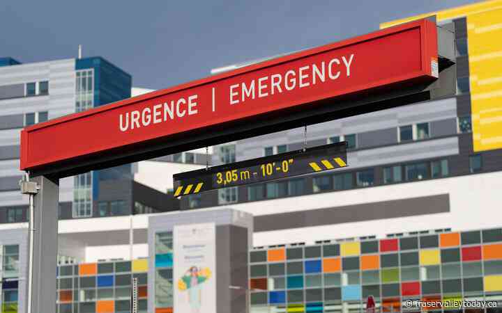 More than a third of Canadians turn to online info due to lack of doctor access: poll