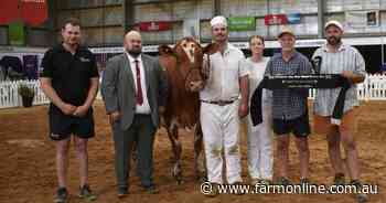 Retirement on hold for aged 2025 International Dairy Week Illawarra champ