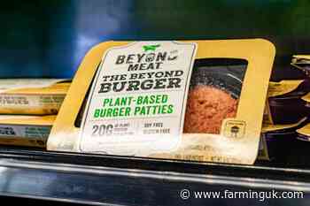 Backlash as numerous councils continue to promote vegan diets