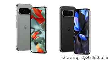 Google Pixel 11, Pixel 11 Pro and Pixel 11 Pro Fold Will Reportedly Have Bear-Themed Codenames