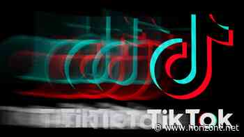 Studie zu Desinformation: Junge TikTok-User sind besonders empfänglich für Fake News