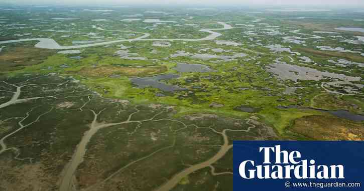 A third of the Arctic’s vast carbon sink now a source of emissions, study reveals