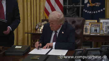 Verordnung von US-Präsident Trump: Verstöße gegen TikTok-Bann werden 75 Tage nicht geahndet