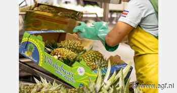 "Amerikanen bieden beste prijzen voor Costa Ricaanse ananas"
