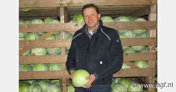 "De exportvraag naar kool vanuit Oost-Europa steeg direct na de jaarwisseling"