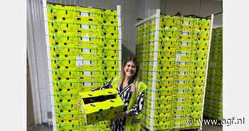 Groei Colombiaanse avocado-export onder druk door logistieke knelpunten