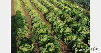 "Nederlandse platteland moet op de schop"