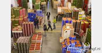 Onterechte EU-claims voor Marokkaanse AGF benadelen Spaanse retailafzet