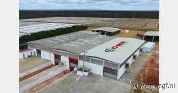 Off season meloenen op Fruit Logistica