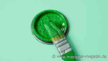 Nachhaltigkeit: CO2-Zertifikate bringen wenig fürs Klima