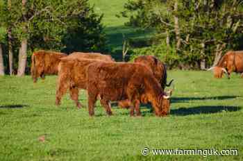Crown Estate unveils £20m fund to spearhead 'future farming model'