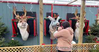 Mum shocked by holiday photo finds way to lose 91lbs in 10 months