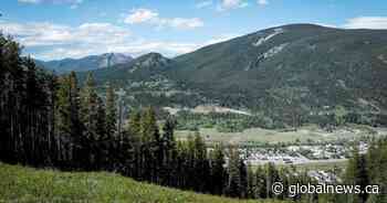 Alberta government lifts coal mining moratorium, critics concerned it’s ‘open season’