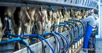 Weiter hohe Milch- und Butterpreise für 2025 erwartet