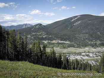 Alberta government lifts coal mining moratorium, critics say it’s ’open season’