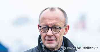 Friedrich Merz: Zwei Bücher erzählen das Comeback des CDU-Chefs