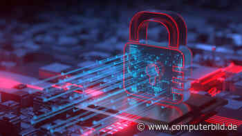 Cyberangriffe: 2024 ist die Zahl um 44 Prozent gestiegen