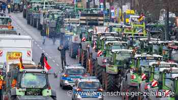 Ein Jahr nach den Bauernprotesten im Peiner Land – was bleibt?