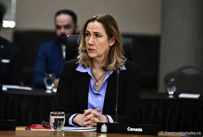 Canada should focus on larger vision in talks with Trump administration: ambassador