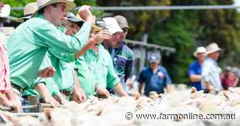 What's happening with lamb prices since Christmas and what's yet to come