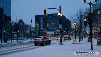 Hamiltonians share hopes for growth, voice concerns about a 'city in decline' during budget delegations