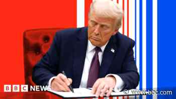 What executive orders has Trump signed after taking office?