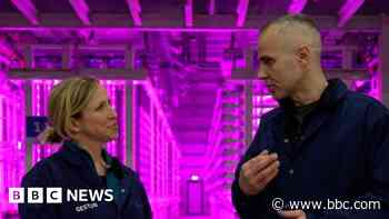 Inside Iceland's futuristic farm growing algae for food