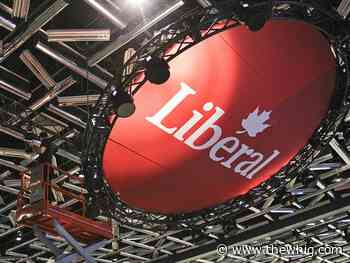 Kingston Liberals weigh in on leadership race