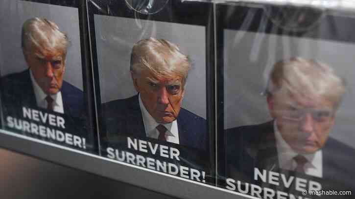 Trumps White House portrait looks a lot like his mugshot, and the internet has noticed