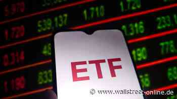 Themen-ETFs in der Kritik: "Das Risiko, mit Themen-ETFs schlechter abzuschneiden, ist enorm"