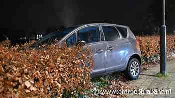 112-nieuws: auto in de bosjes gereden • bestelbusje tegen boom