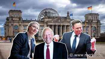 Musk macht's vor: AfD will Superreiche auch in deutscher Regierung – „Tut dringend Not”