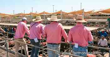 The thing that means you can have big faith in the cattle market this year