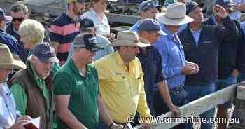 The top 15 buyers of Victorian weaner cattle in January 2025 revealed