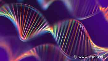 Best DNA Test for 2025