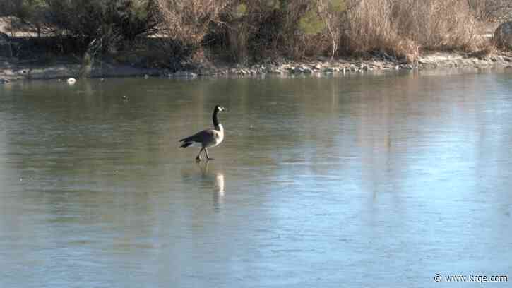 LIST: New Mexico’s coldest spots during the arctic blast